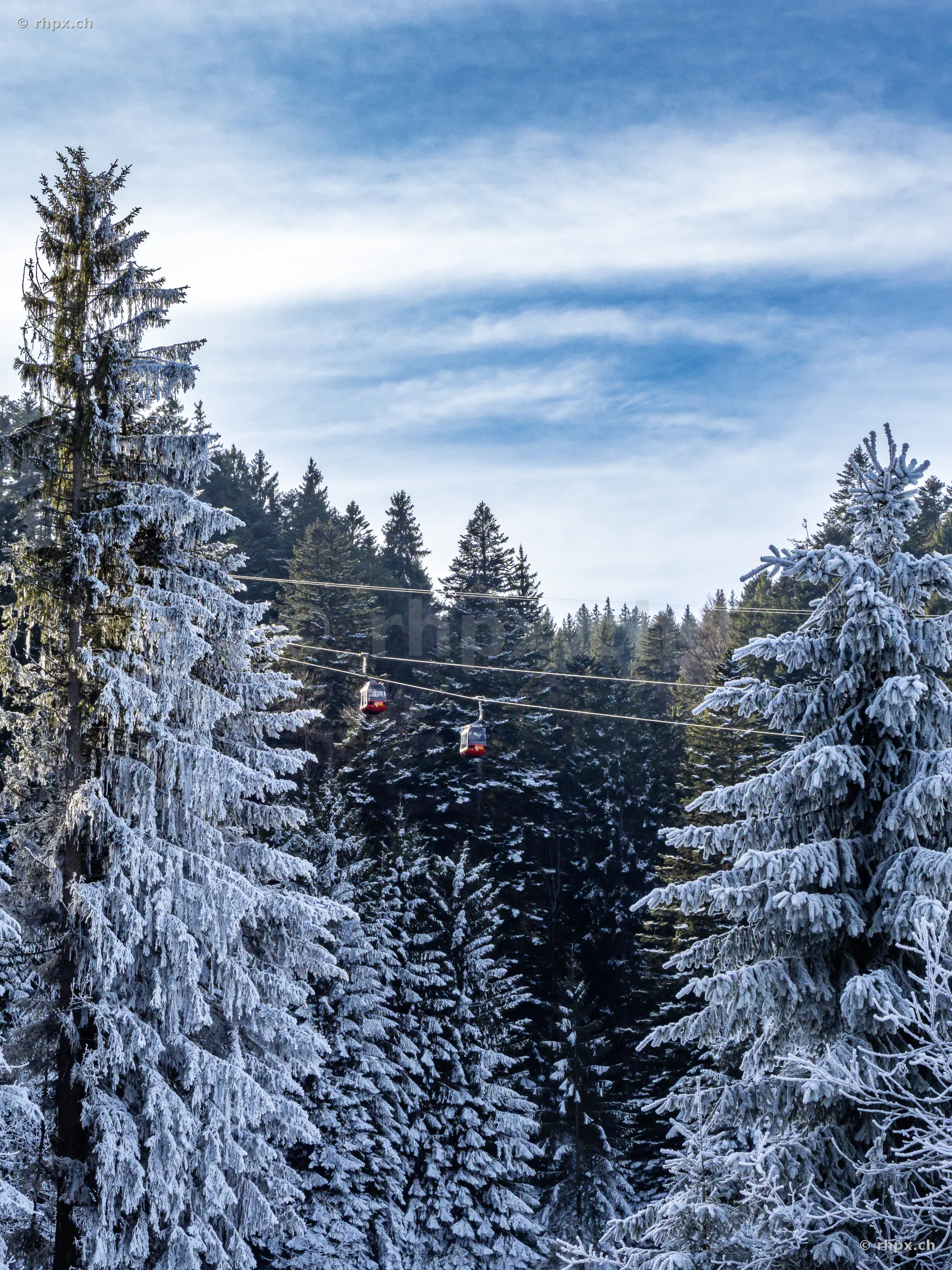 Zwei rote Gondeln der Pilatus-Luftseilbahn fahren durch einen tief verschneiten Winterwald.