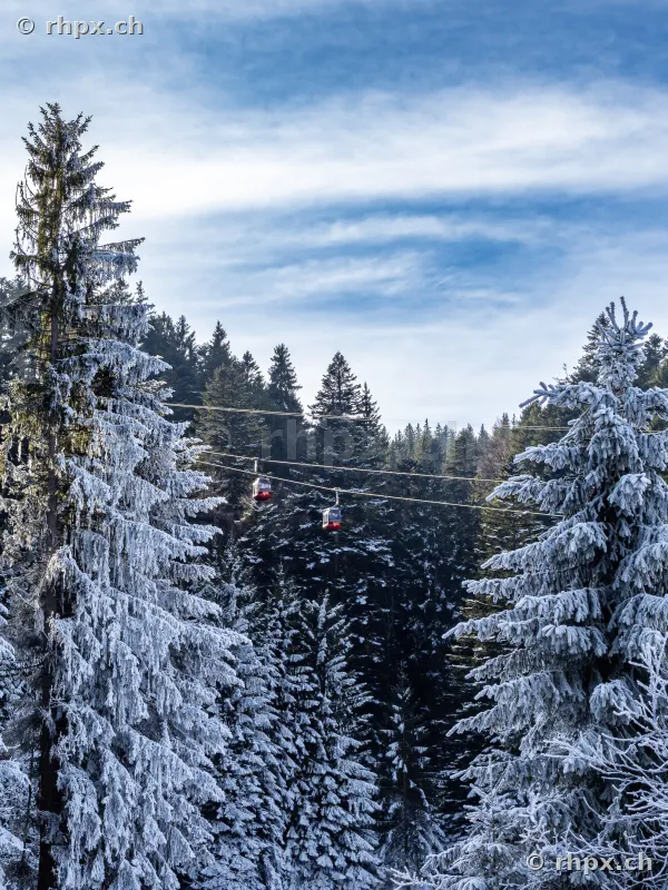 Two red cable cars of the Pilatus mountain railway passing through a deep snowy winter forest.