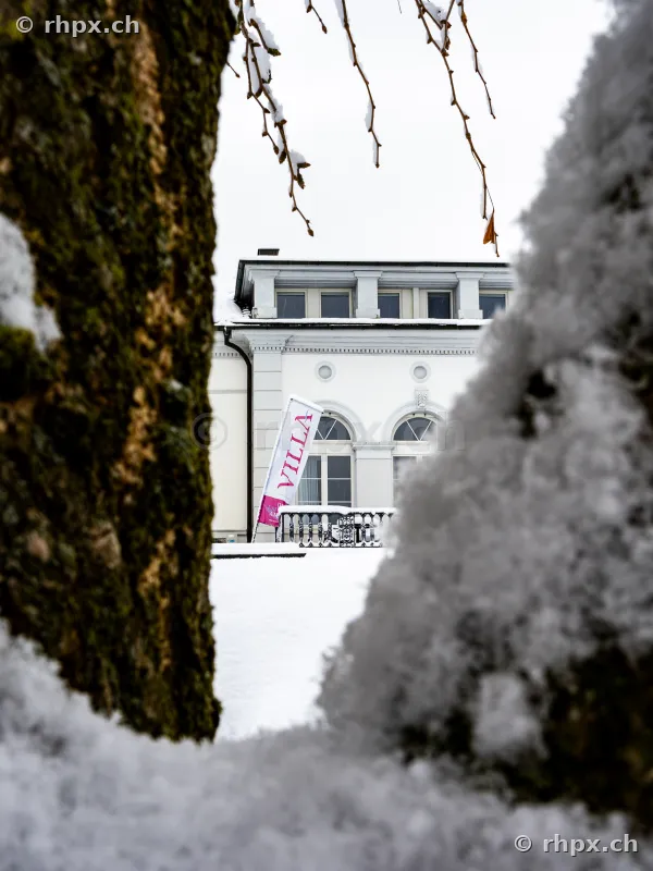 The Villa Schweizerhof in Lucerne in winter seen between snow-covered trees.