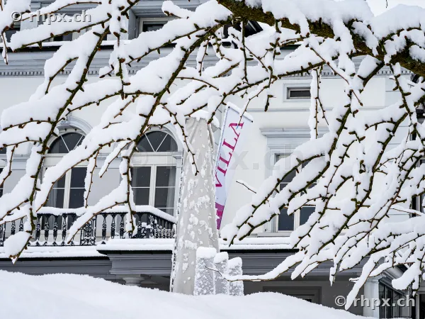 Verschneite Äste vor der Fassade der Villa Schweizerhof in Luzern