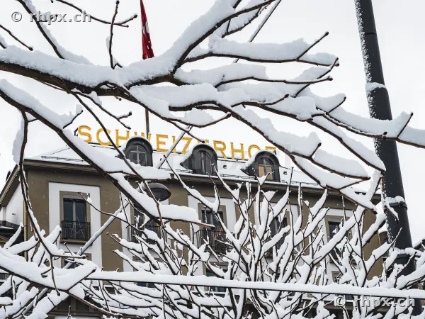 Hotel Schweizerhof in Luzern hinter schneebedeckten Ästen an einem Wintertag