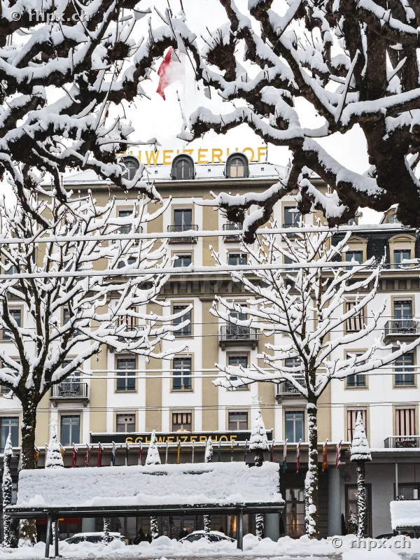 Fassade des Hotel Schweizerhof in Luzern hinter verschneiten Bäumen im Winter