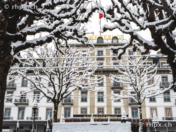 Hotel Schweizerhof in Luzern hinter verschneiten Bäumen bei bewölktem Himmel