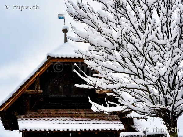 Close-up of a snow-covered wooden gable of the Chapel Bridge with a snowy tree in the foreground
