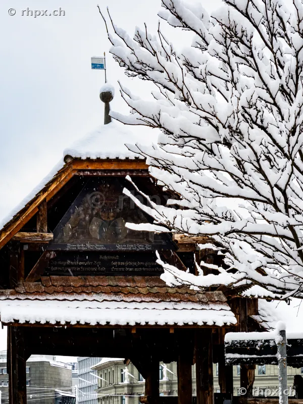Snow-covered roof of the Chapel Bridge with coat of arms and a snow-covered tree in the foreground
