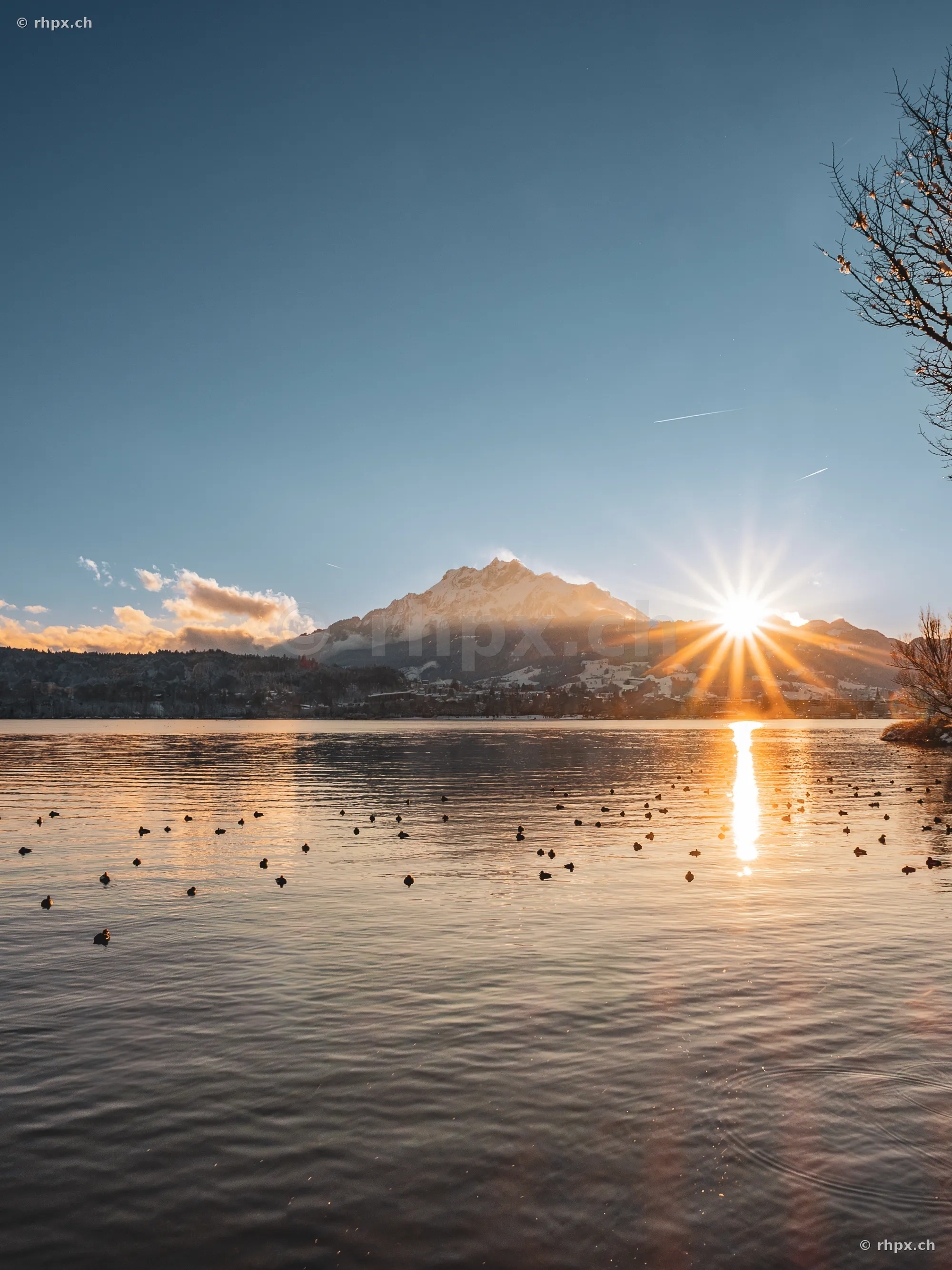 Vierwaldstättersee mit Blick auf den schneebedeckten Pilatus im Gegenlicht der aufgehenden Sonne.