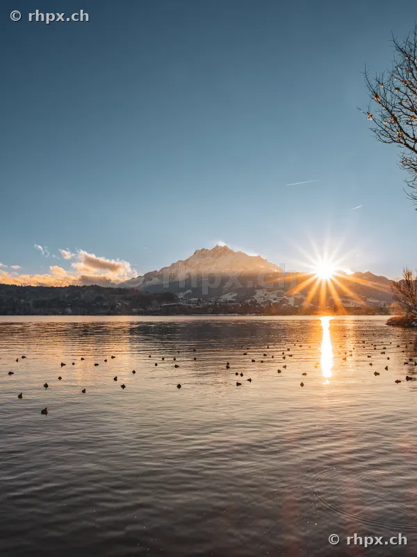 Vierwaldstättersee mit Blick auf den schneebedeckten Pilatus im Gegenlicht der aufgehenden Sonne.