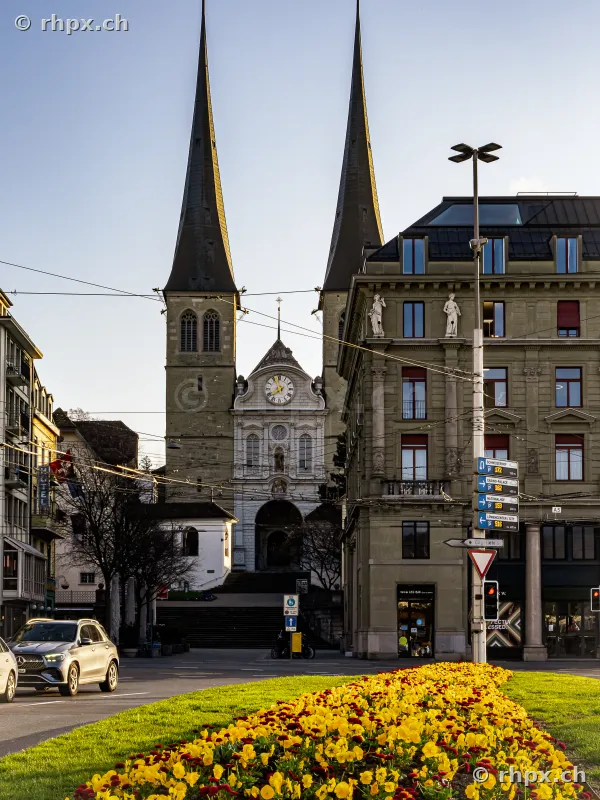 Hofkirche in Luzern mit zwei Türmen und einem Blumenbeet im Vordergrund an einem sonnigen Tag.