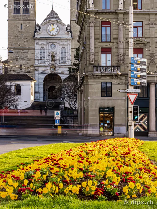 Church of St. Leodegar and historic buildings on Schweizerhofstrasse in Lucerne with yellow and red flowers in the foreground