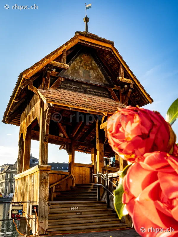 Wooden construction of the Chapel Bridge in Lucerne with a red flower in the foreground