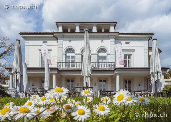 Die weisse Fassade der Villa Schweizerhof in Luzern mit Gänseblümchen im Vordergrund.