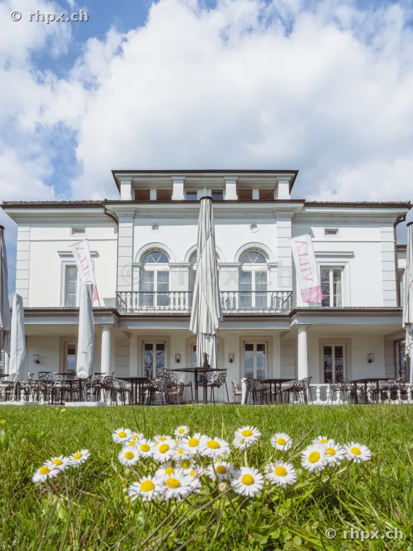 Blick von einer Blumenwiese auf die Fassade der Villa Schweizerhof in Luzern.