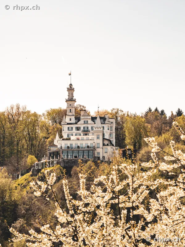 Hotel Château Gütsch in Luzern umgeben von blühenden Bäumen