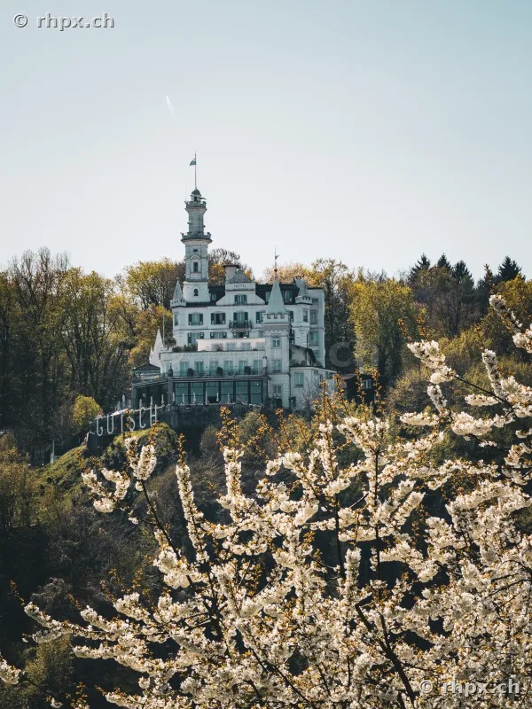 Château Gütsch hotel on a hill above Lucerne surrounded by blooming trees