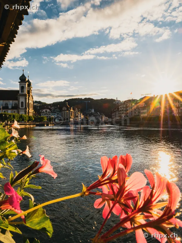 View from the Chapel Bridge over the Reuss river towards the Jesuit Church with flowers in the foreground