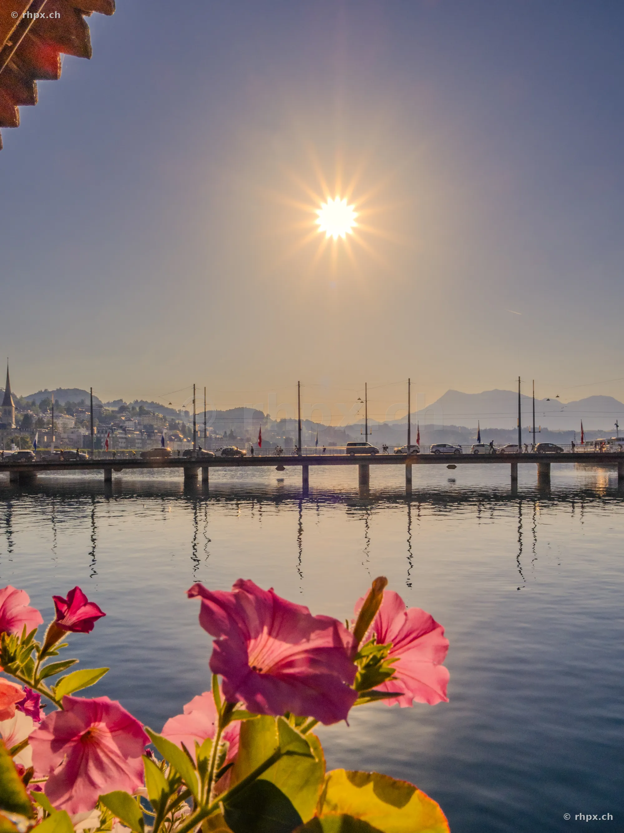 Blick über die Seebrücke in Luzern mit pinken Blumen im Vordergrund bei Sonnenaufgang