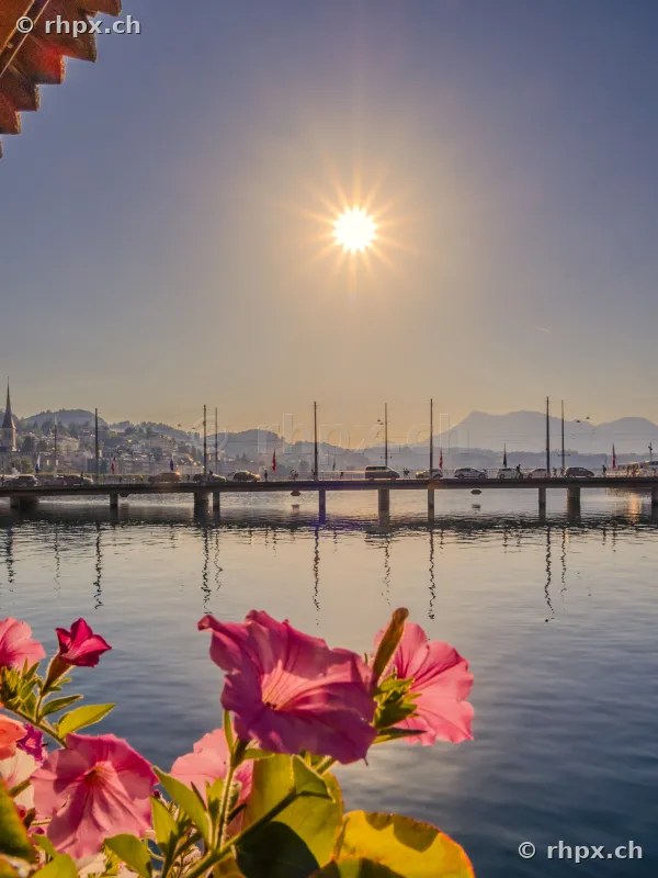 View across the Seebrücke bridge in Lucerne with pink flowers in the foreground at sunrise