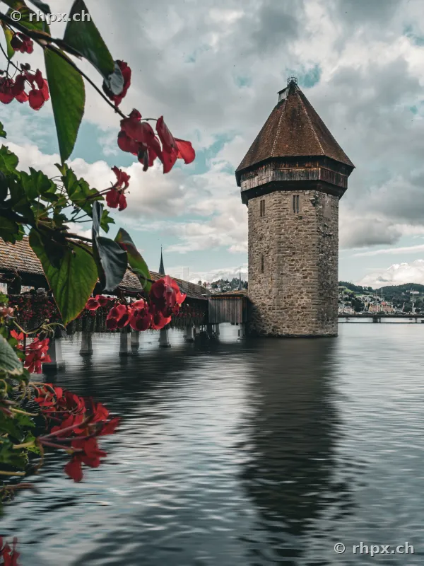 The Wasserturm tower at the Chapel Bridge in Lucerne with red geraniums in the foreground.