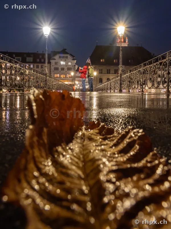 A single leaf in the foreground on the wet Rathaussteg in Lucerne at night with people in the background