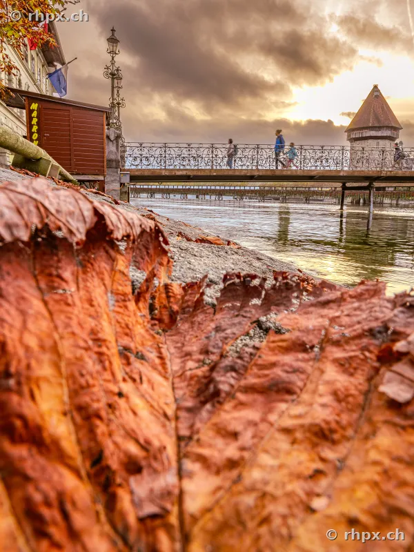 Large brown autumn leaf in the foreground, in the background a bridge over the Reuss river in Lucerne with pedestrians.