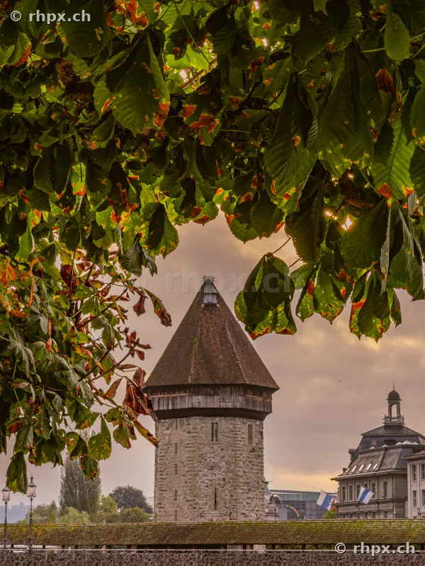 Blick auf den Wasserturm in Luzern durch hängende Kastanienzweige an einem bewölkten Tag