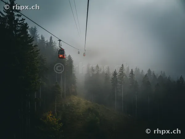 Rote Gondel der Pilatus-Luftseilbahn in nebligem Nadelwald