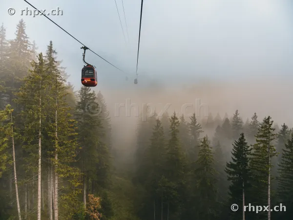 Rote Gondel der Pilatus-Luftseilbahn schwebt über einen nebligen Wald
