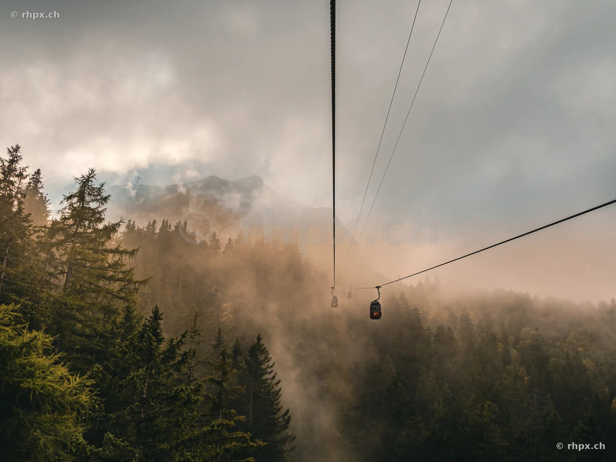 View from a cable car gondola over the misty forest on Mount Pilatus