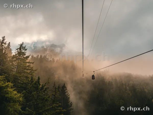 Blick aus einer Seilbahngondel auf den nebligen Wald am Pilatus