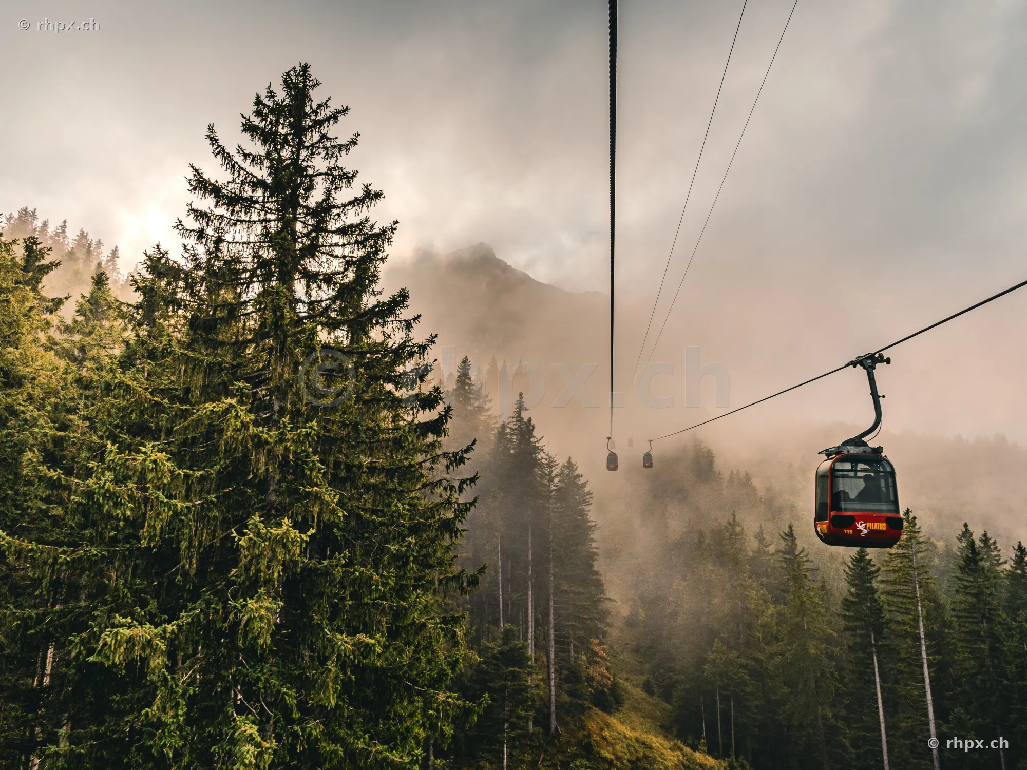 Rote Gondel der Pilatus-Luftseilbahn fährt durch dichten Nebel über einem Tannenwald.