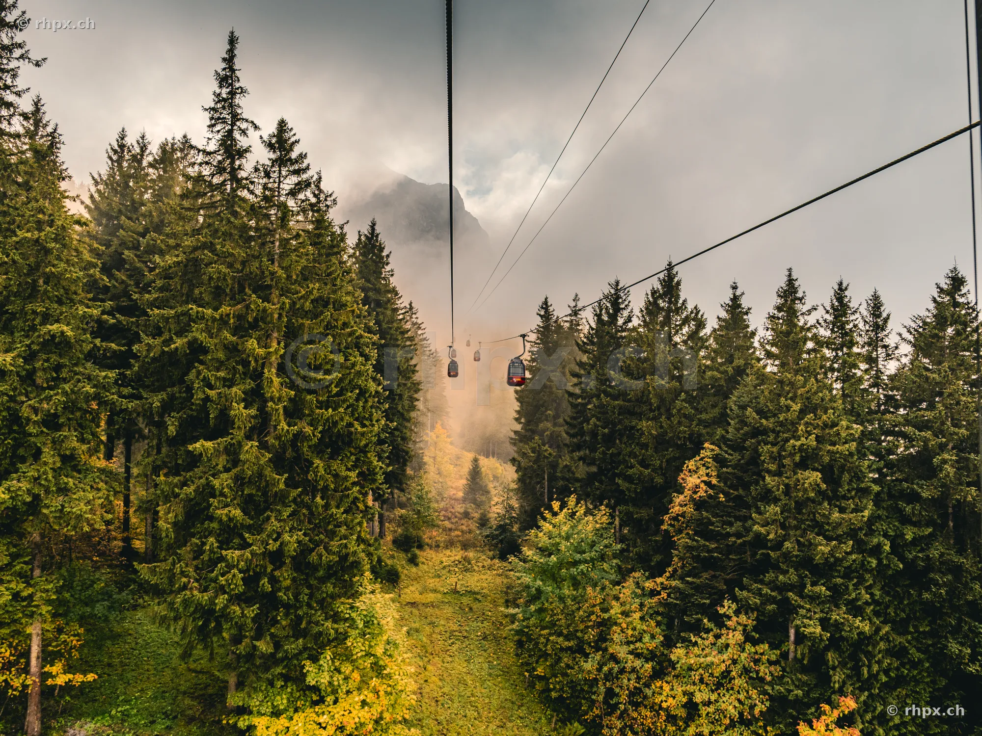 View from the Pilatus cable car over a dense coniferous forest and misty mountain peaks