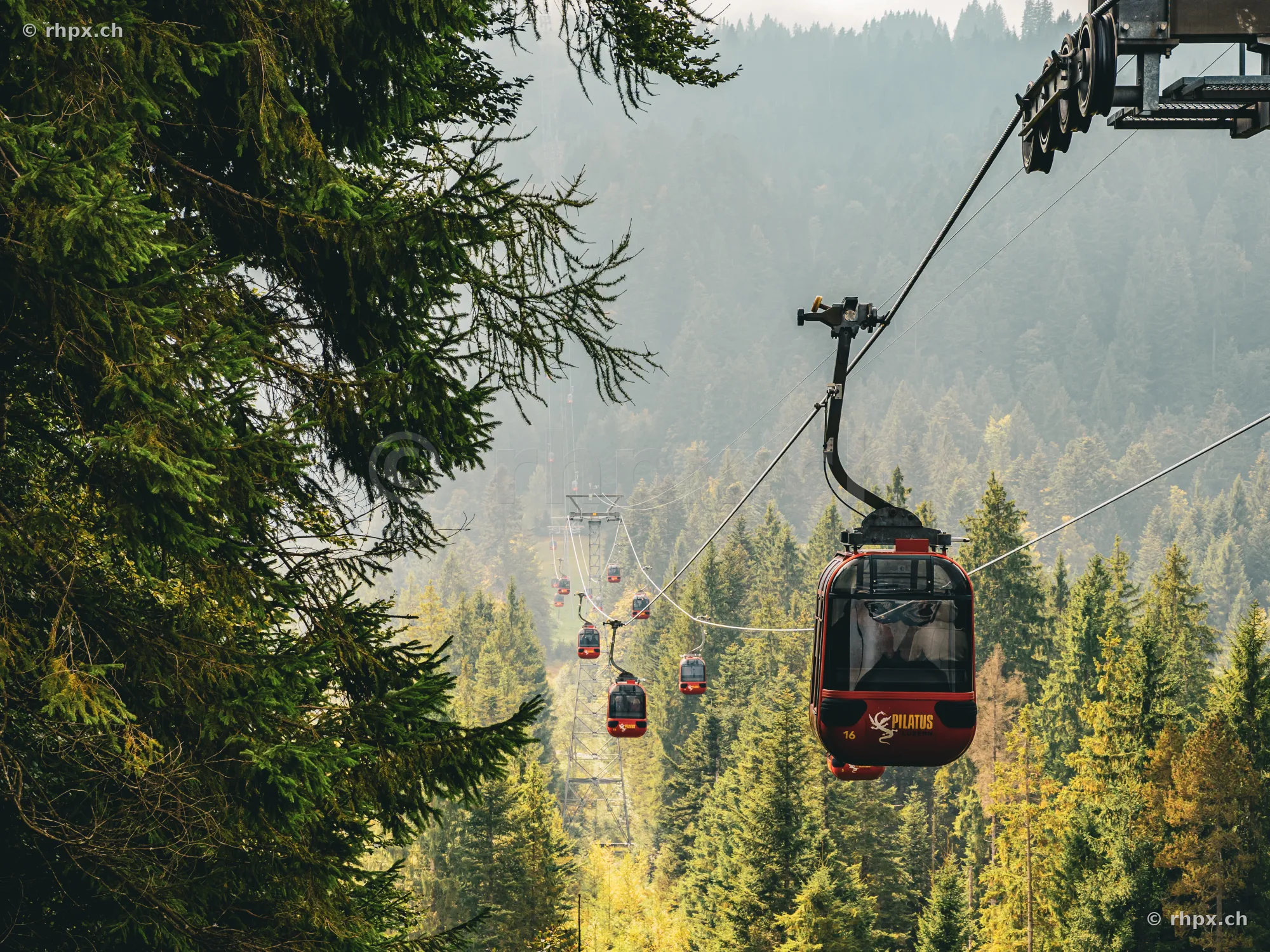 Red gondolas of the Pilatus cable car floating above a wooded slope in foggy weather