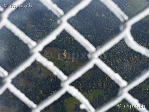 View through an ice-covered chain-link fence towards the forested slopes of Mount Pilatus.