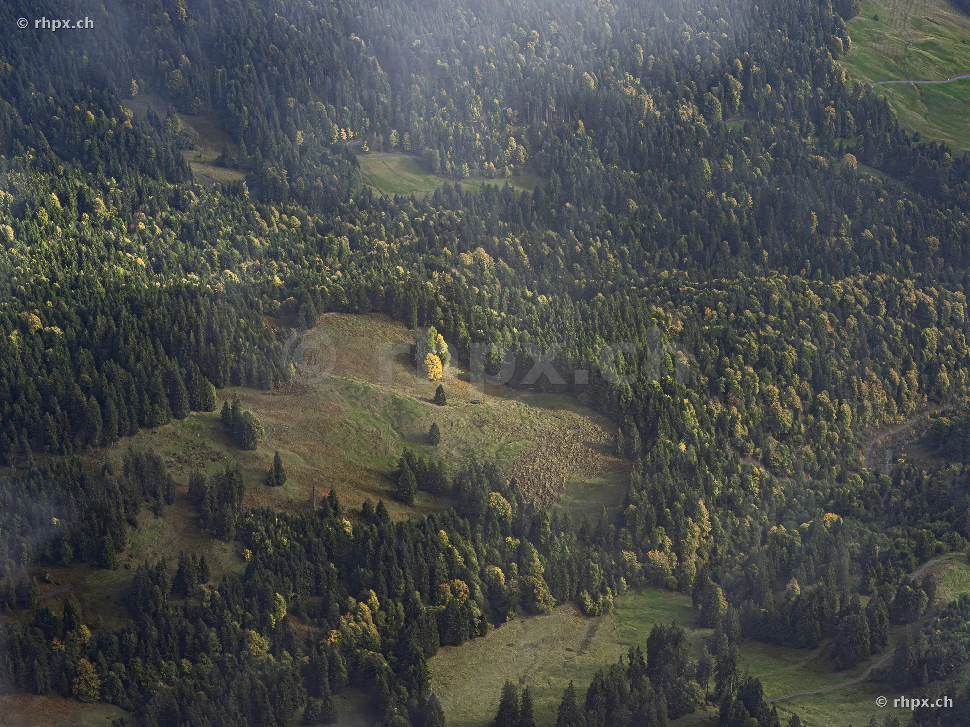 Luftaufnahme von bewaldeten Hängen am Pilatus mit herbstlichen Lichtstimmungen
