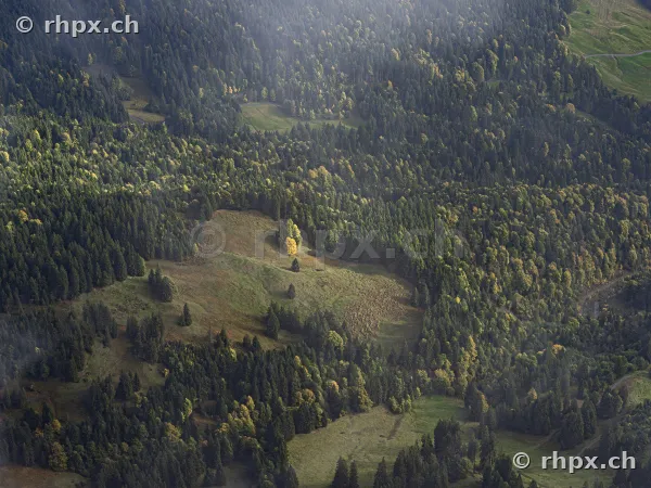 Aerial view of forested slopes on Mount Pilatus with autumnal light conditions