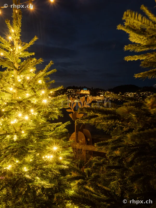 Illuminated Christmas tree and reindeer figure overlooking Lucerne at night
