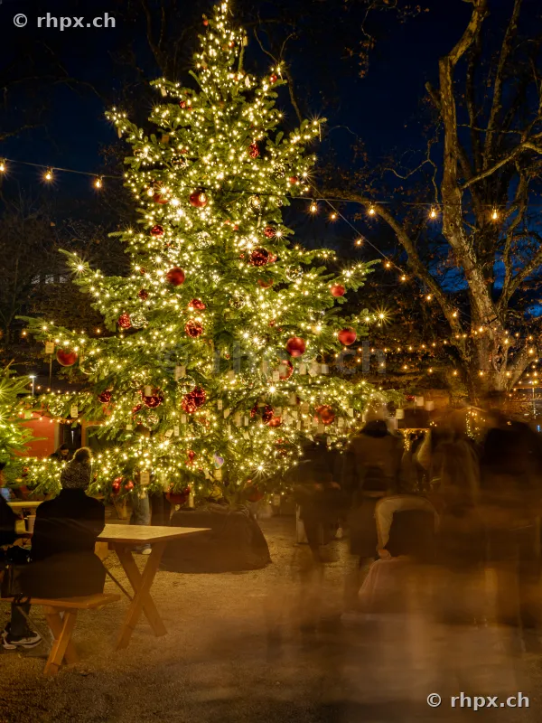 Beleuchteter Weihnachtsbaum mit rotem Schmuck auf einem Platz in Luzern bei Nacht