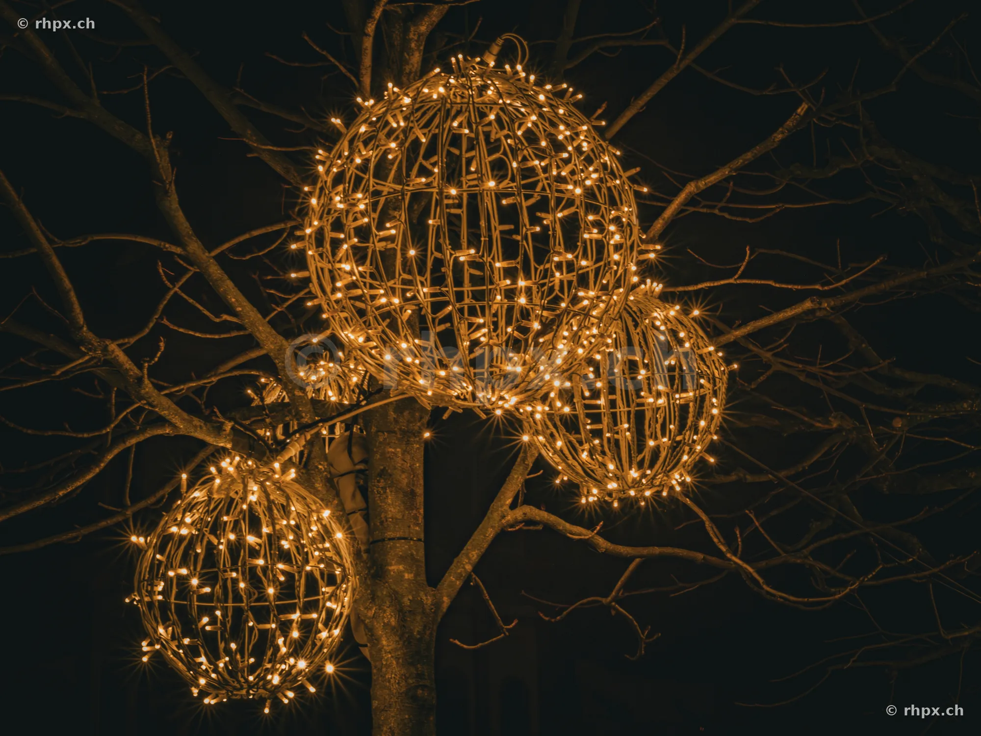 Illuminated Christmas light spheres hanging in a bare tree at night in Lucerne.