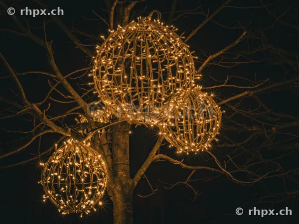 Illuminated Christmas light spheres hanging in a bare tree at night in Lucerne.
