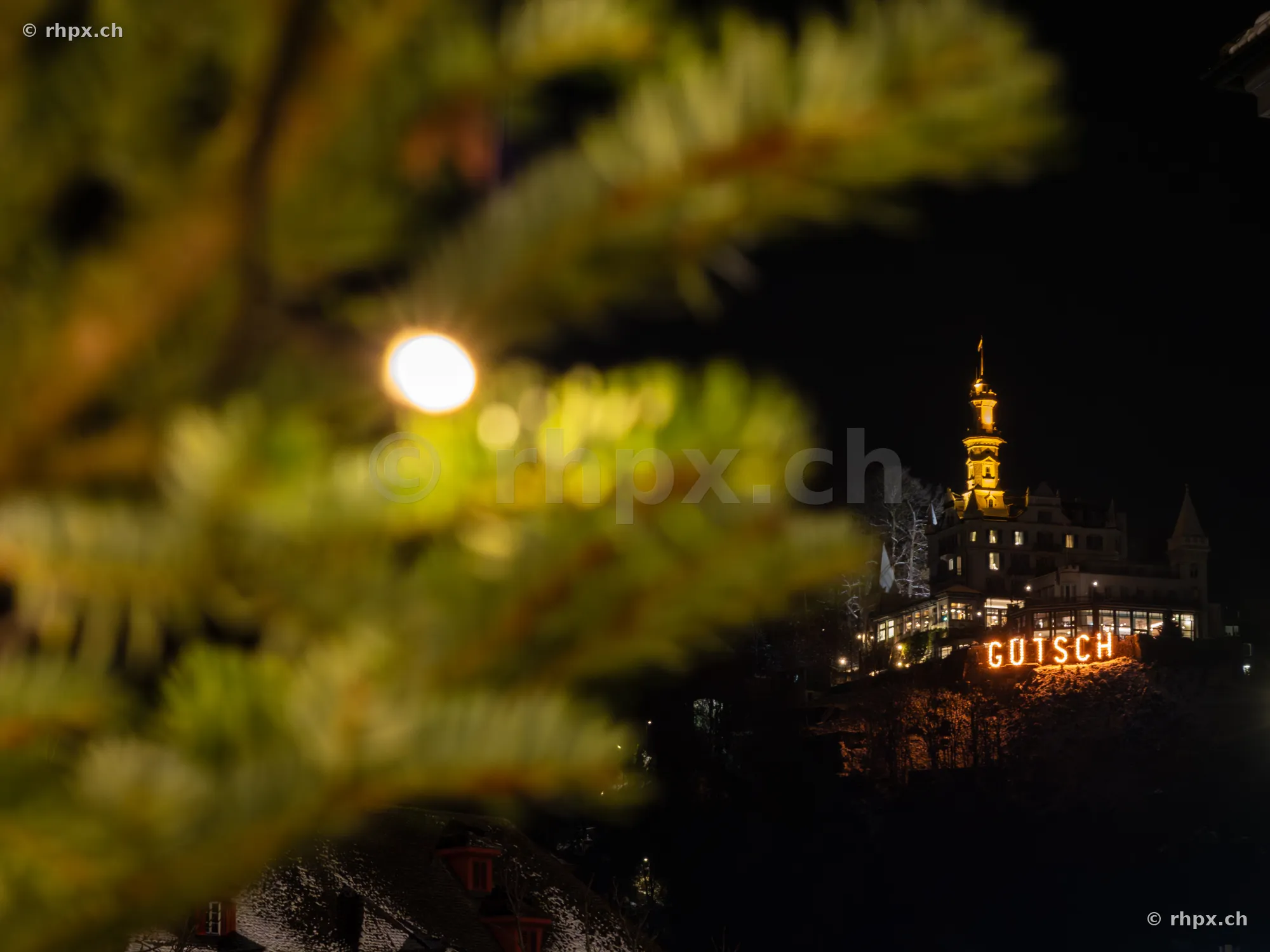 Night view of the illuminated Hotel Château Gütsch in Lucerne behind pine branches