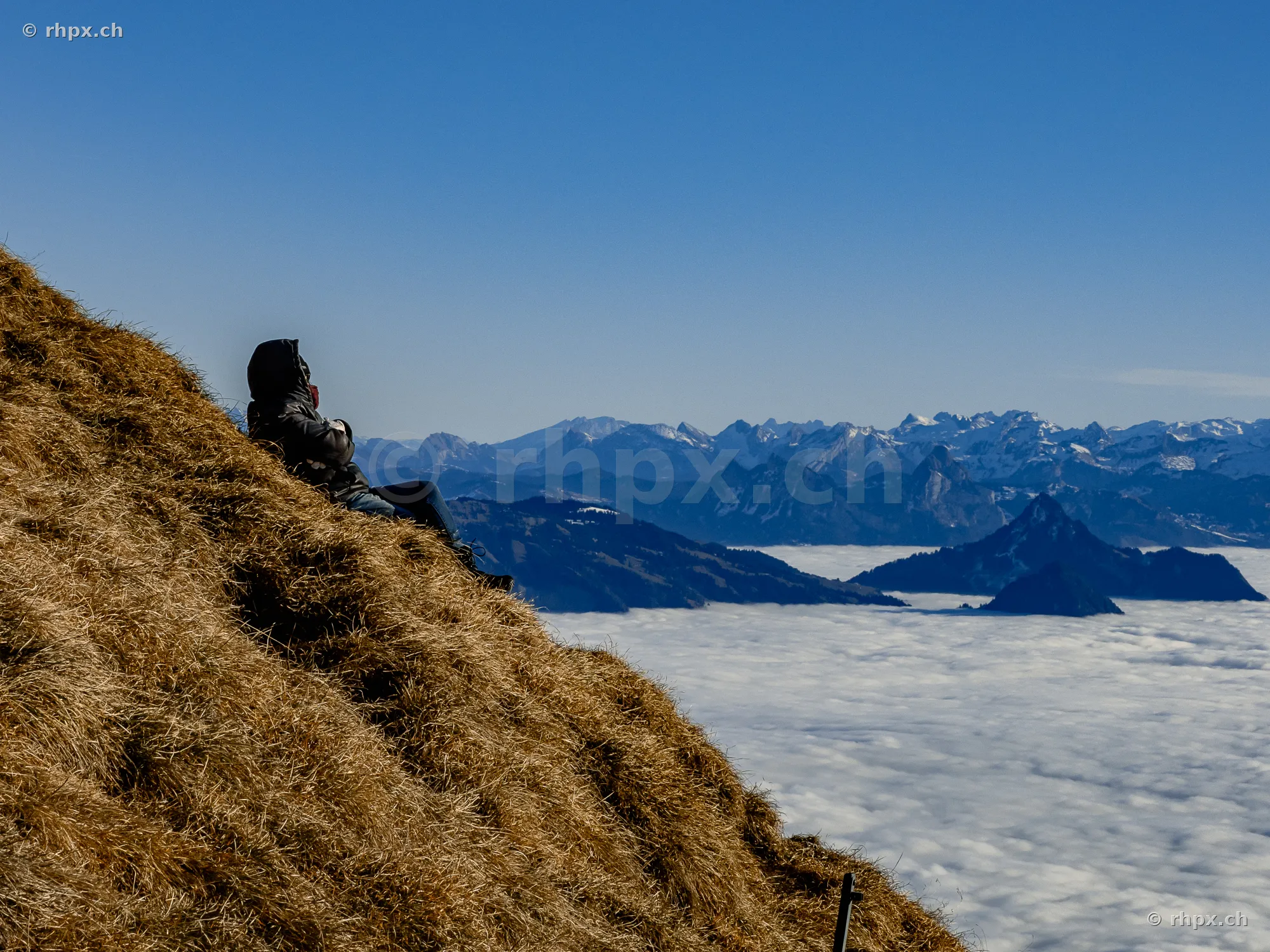 A person sits on the grassy slope of Mount Pilatus looking over a sea of clouds towards the Alps