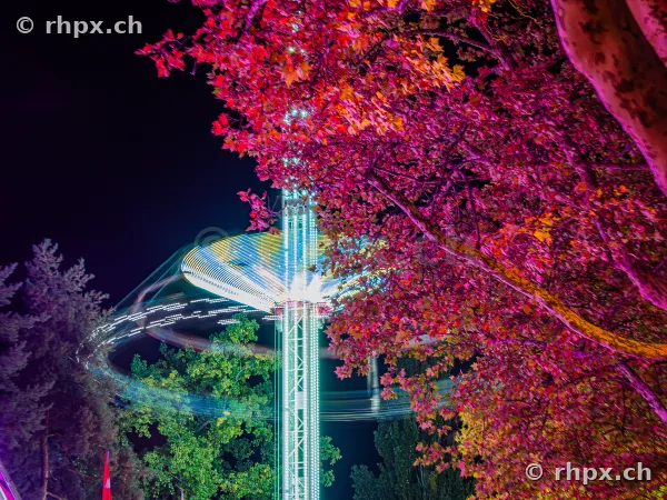 Illuminated swing ride at the Lucerne Autumn Fair in front of autumn-colored trees at night