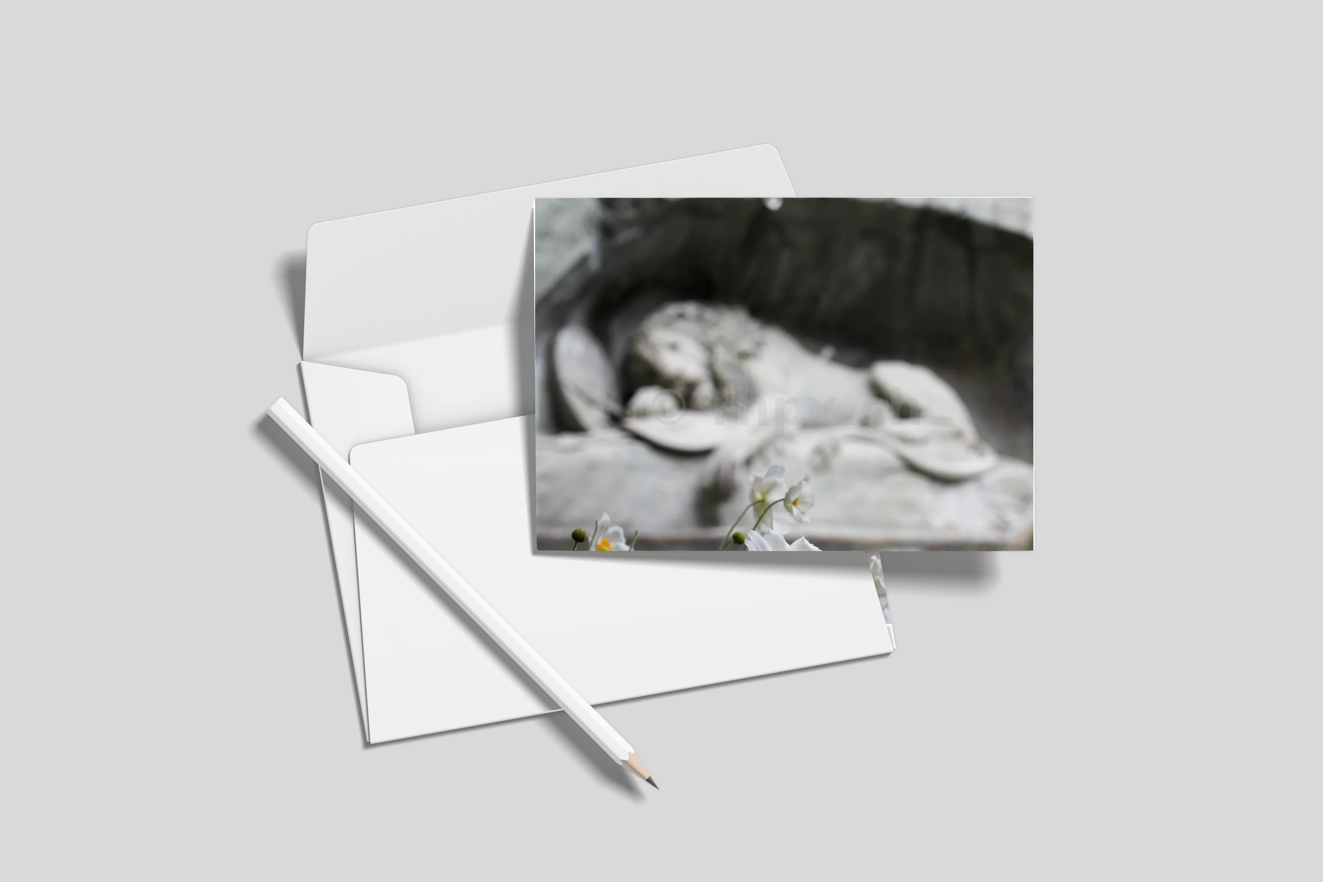 Postkarten 10er-Set (ohne Umschläge) DL 9.9 x 21 cm)