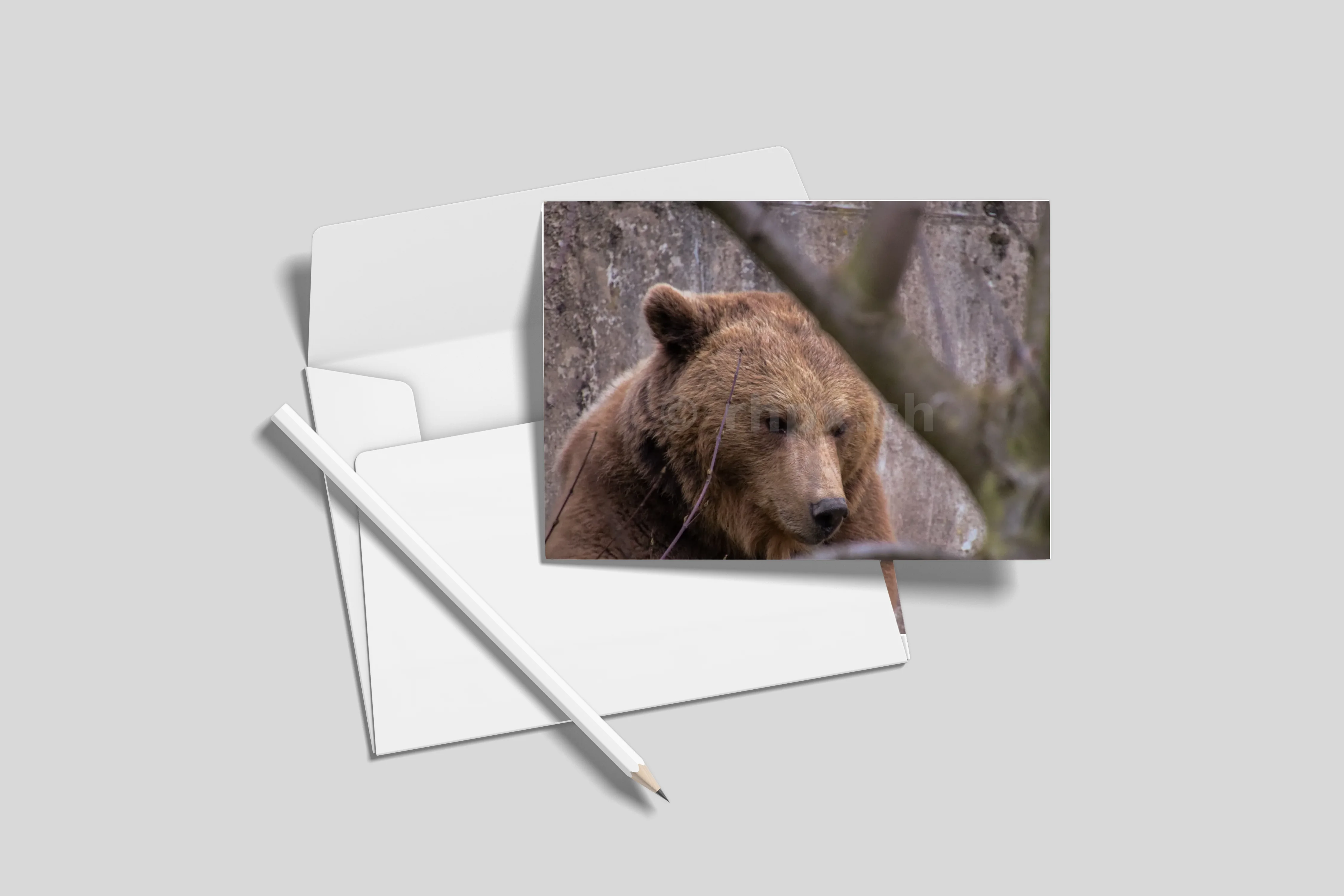 Postkarten 10er-Set (ohne Umschläge)