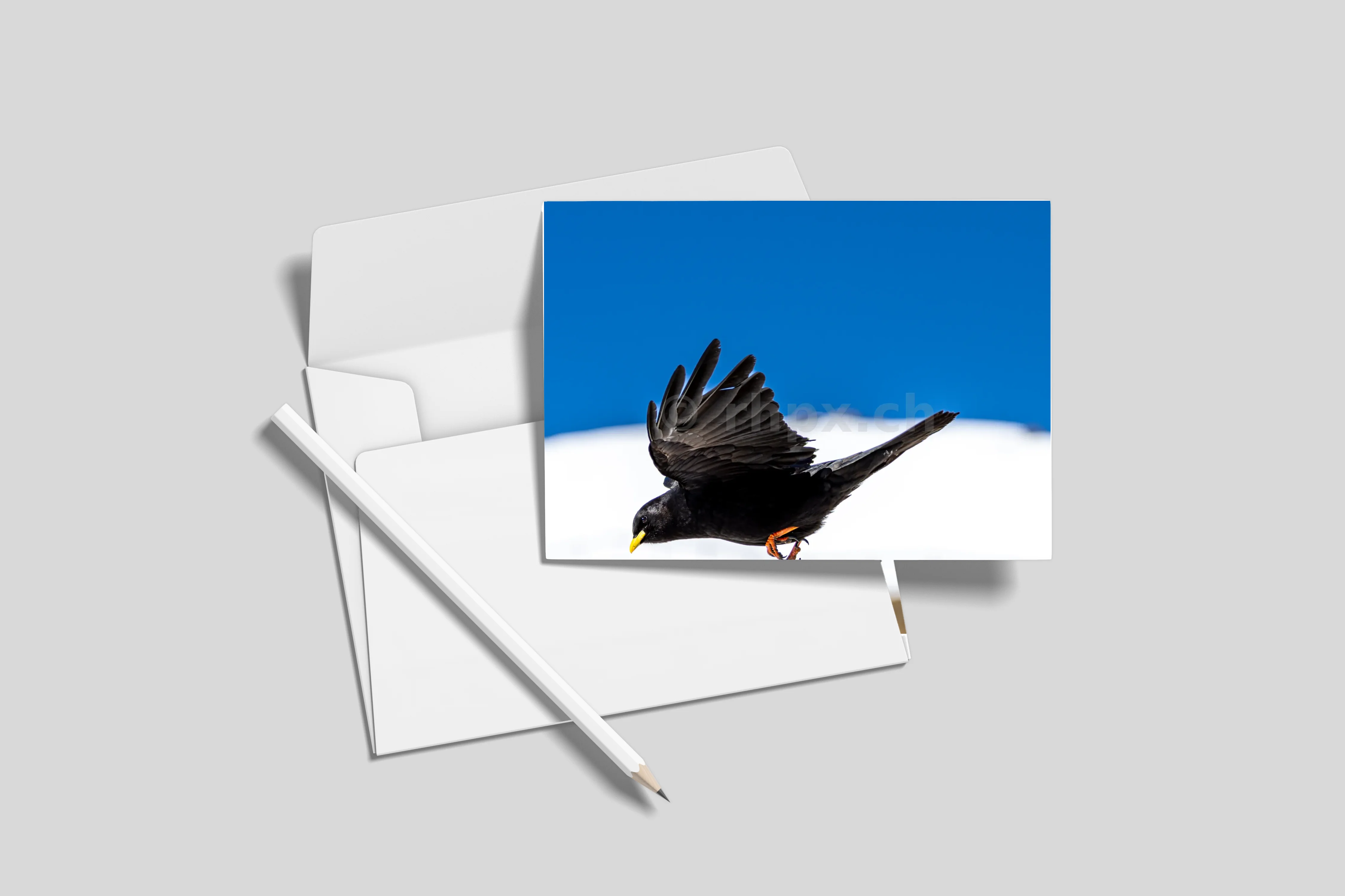 Postkarten 10er-Set (ohne Umschläge) DL 9.9 x 21 cm)