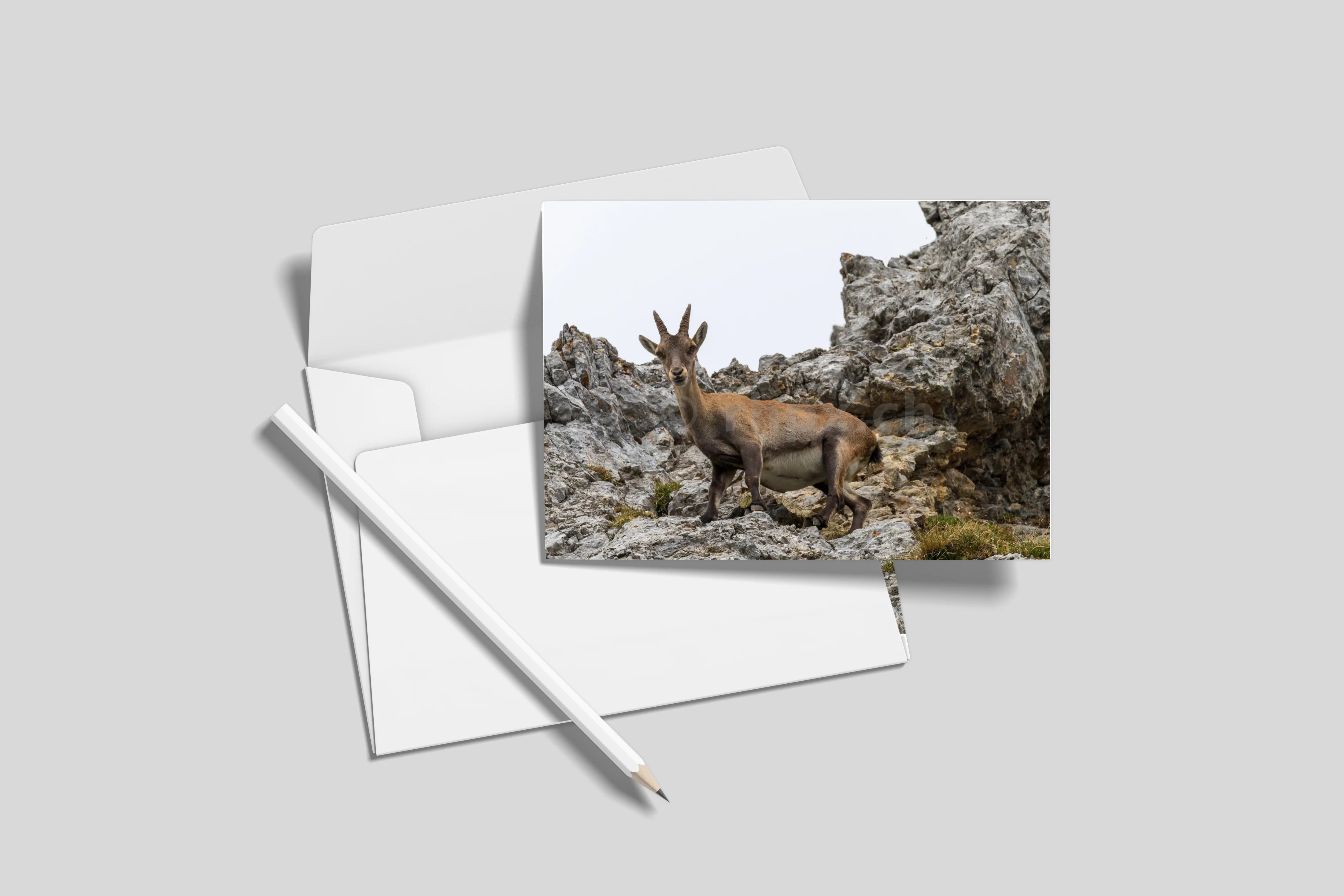 Postkarten 10er-Set (ohne Umschläge) DL 9.9 x 21 cm)