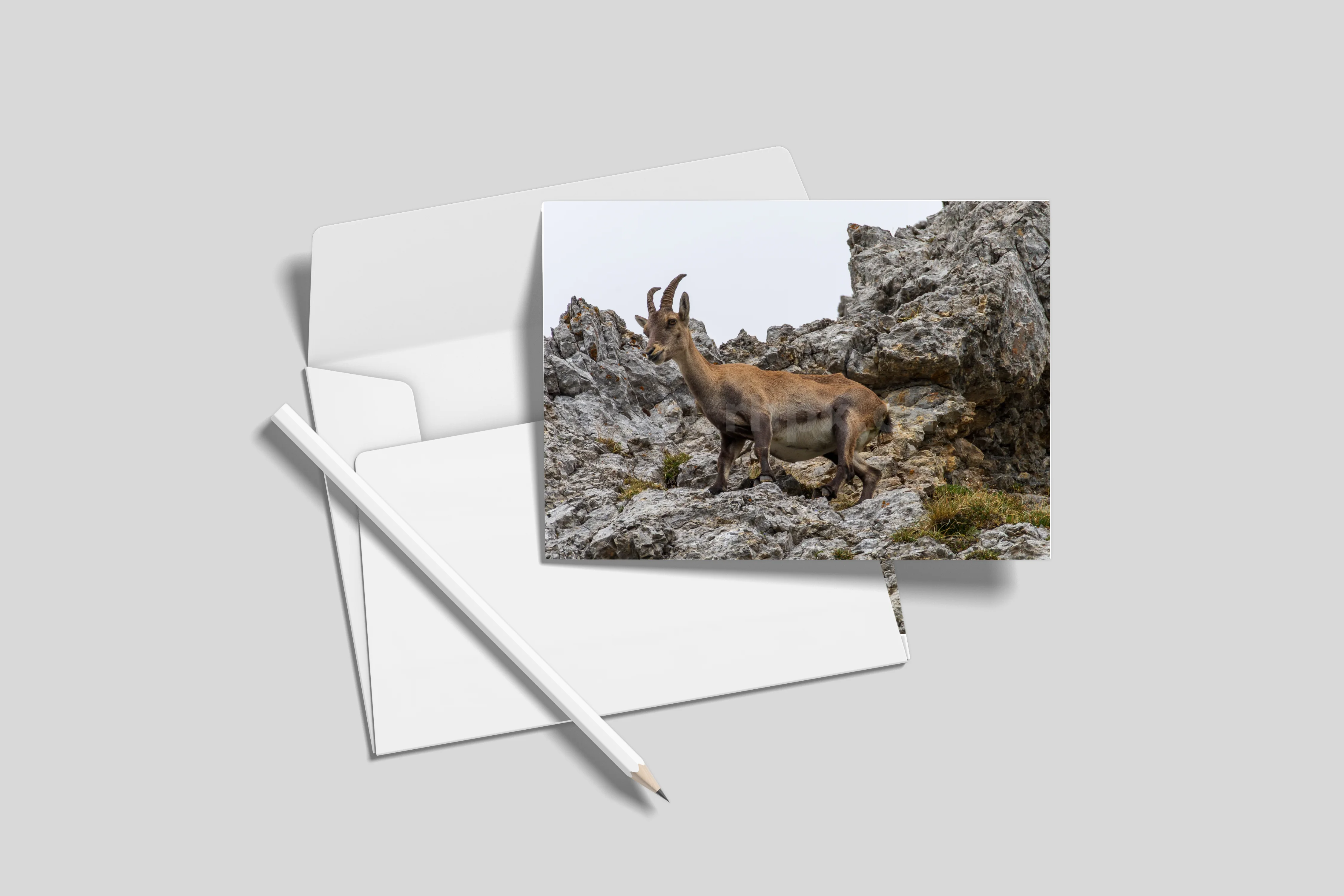Postkarten 10er-Set (ohne Umschläge) DL 9.9 x 21 cm)