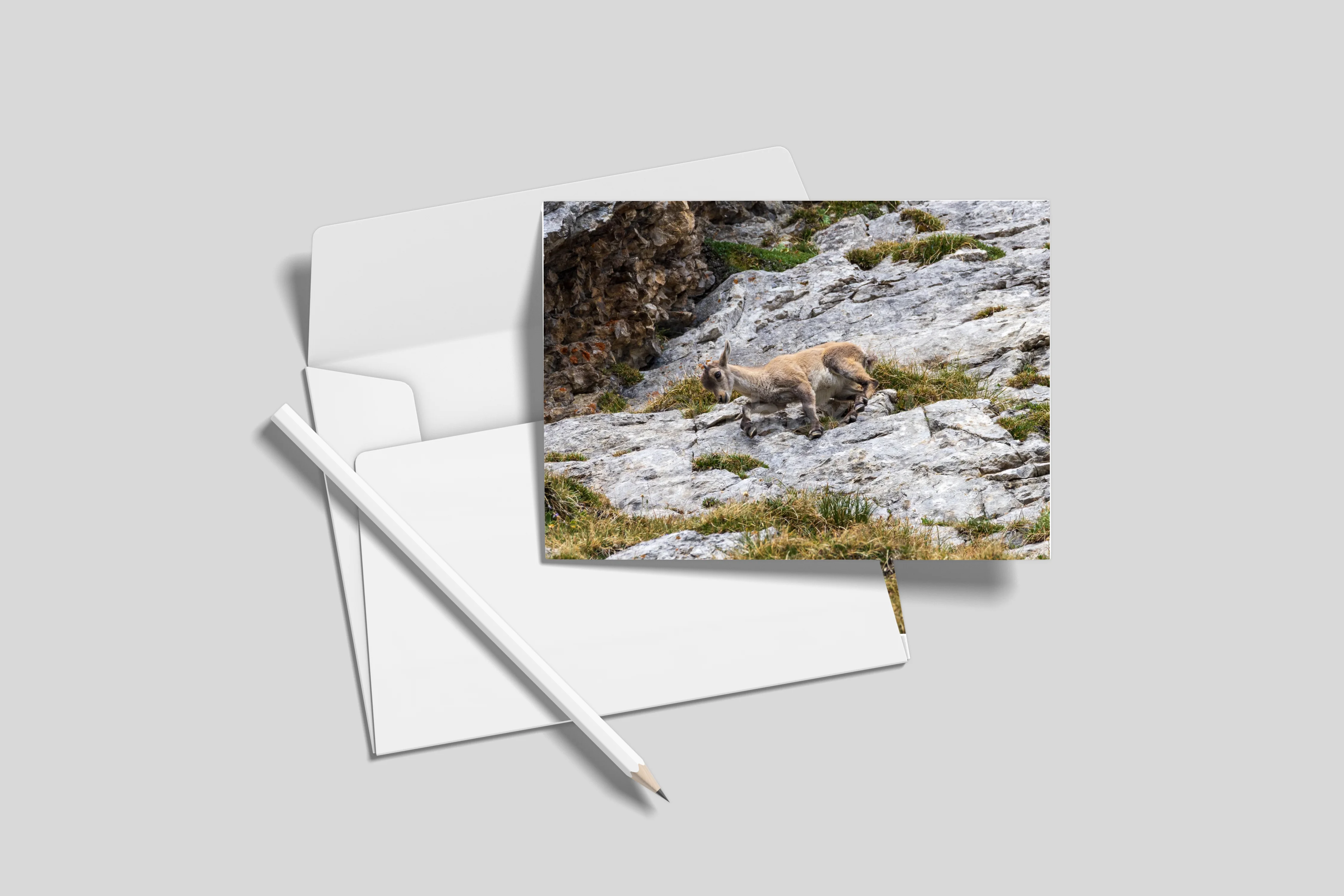 Postkarten 10er-Set (ohne Umschläge) DL 9.9 x 21 cm)