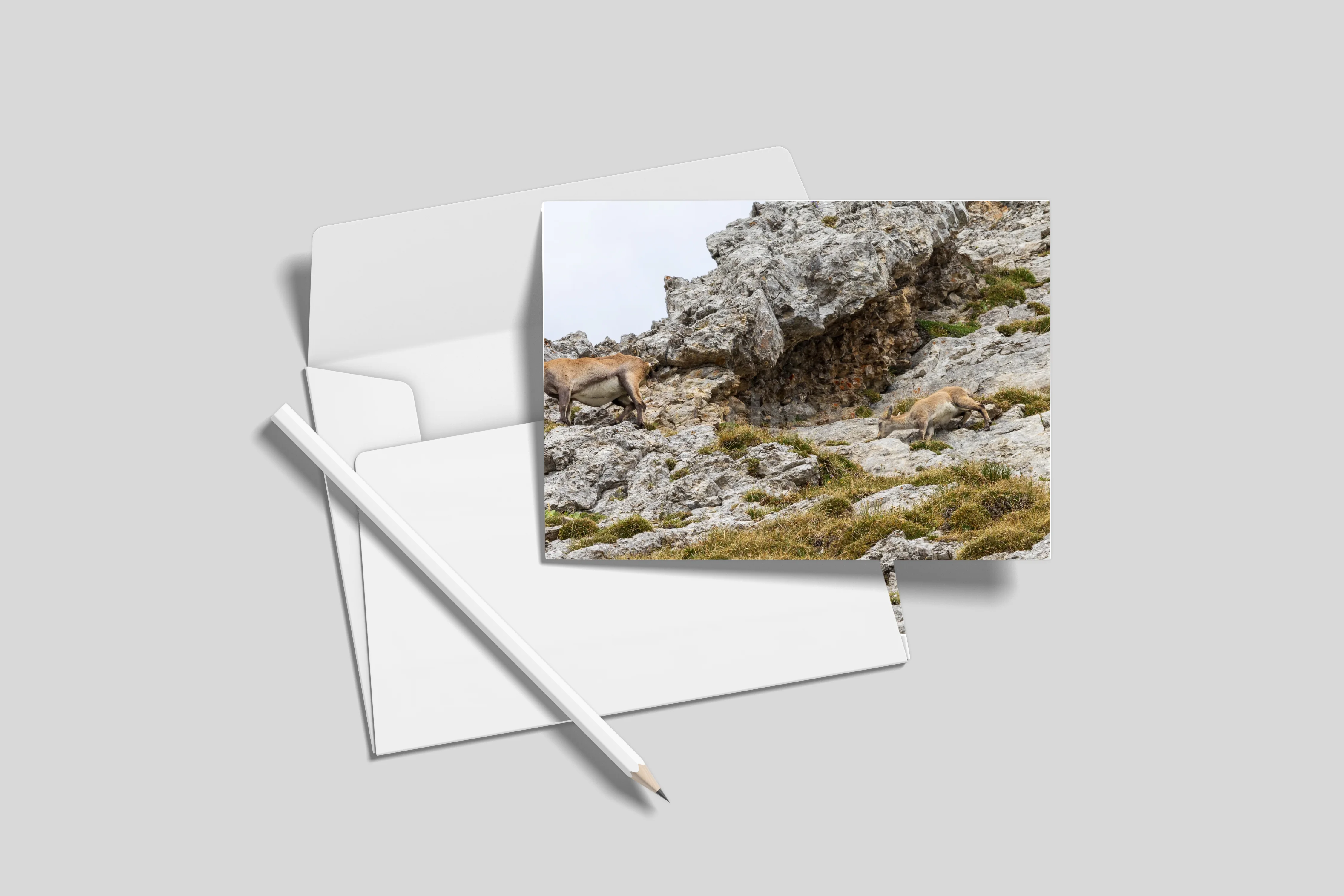 Postkarten 10er-Set (ohne Umschläge) DL 9.9 x 21 cm)