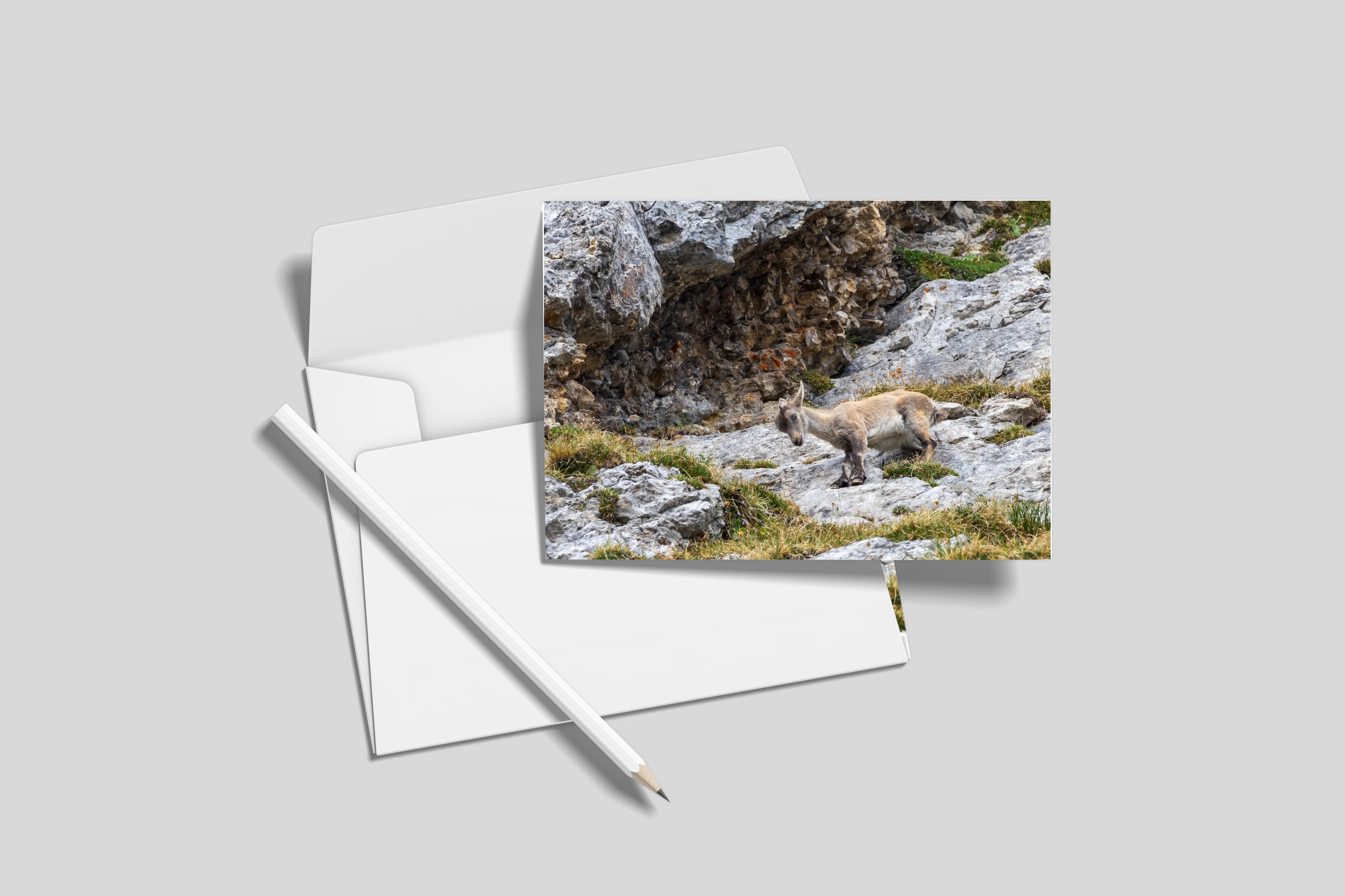 Postkarten 10er-Set (ohne Umschläge) A6 Standartpostkartengrösse (10.5 x 14.8 cm)